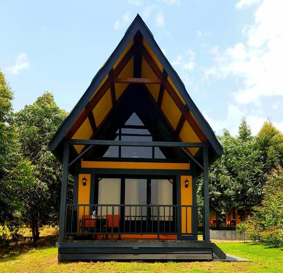Shamba Lodge Cabin B Arusha Ngoại thất bức ảnh